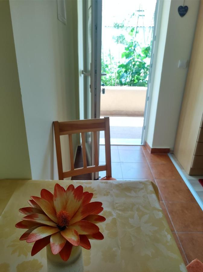 Guesthouse Anna Дубровник Екстериор снимка