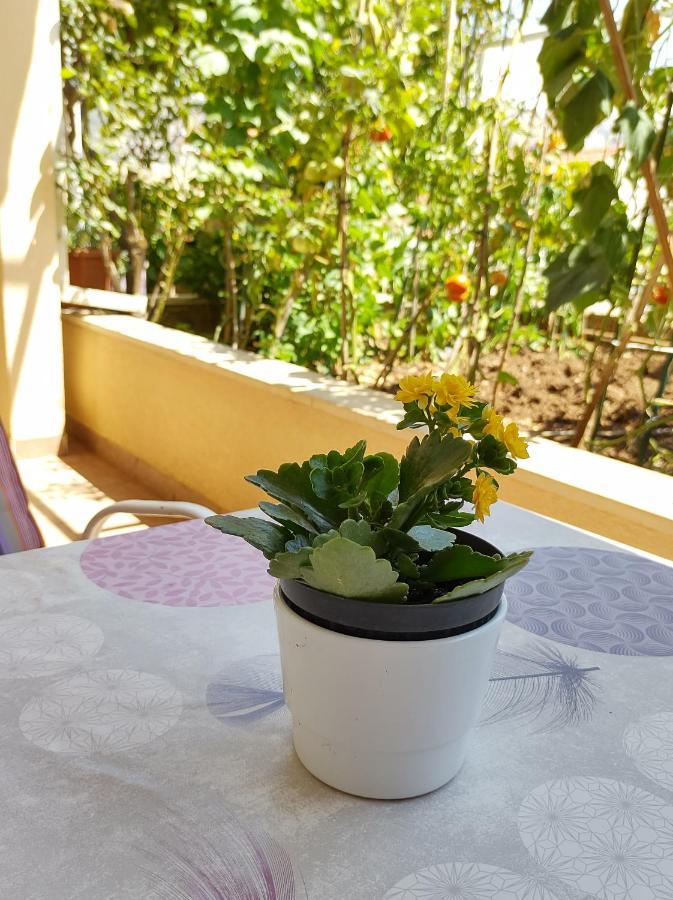 Guesthouse Anna Дубровник Екстериор снимка