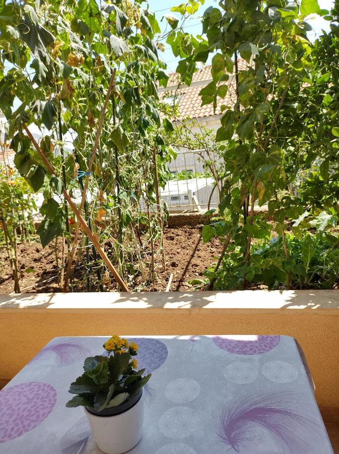 Guesthouse Anna Дубровник Екстериор снимка